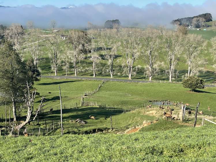 80b Mangaotaki Road Piopio_36