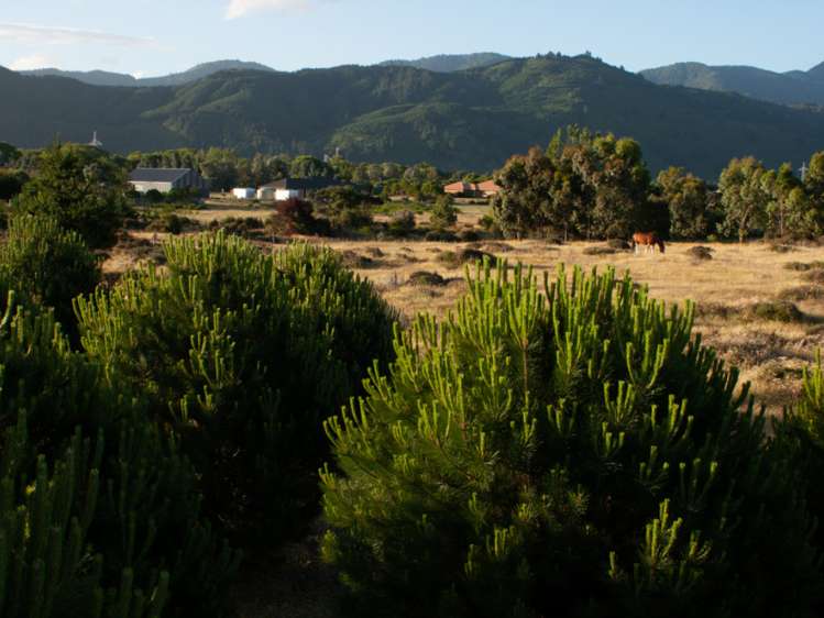 46 Edgewater Place Rarangi_3