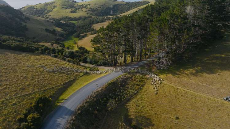 Address withheld Kerikeri_30