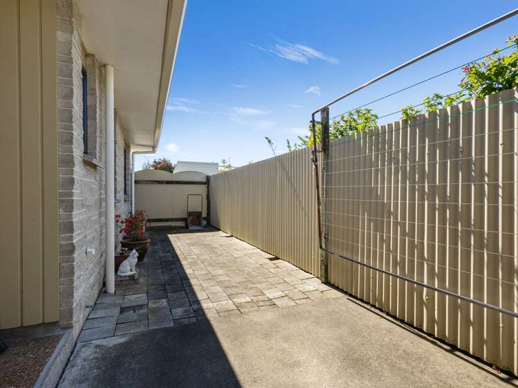 2/507 Avenue Road West Hastings Central_17