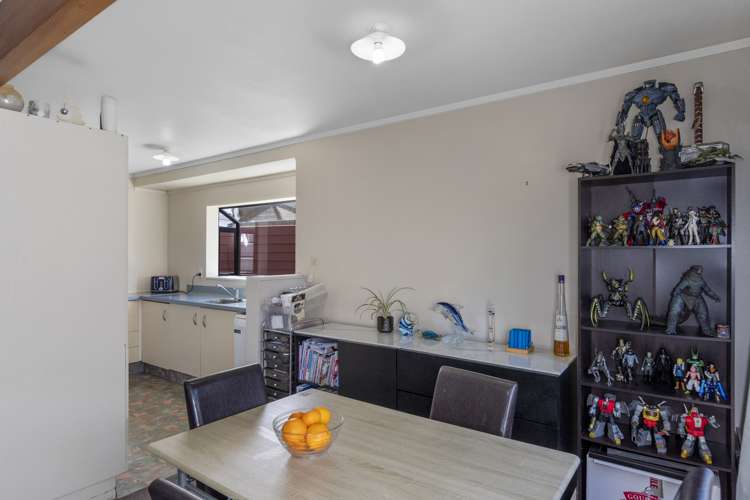 10b Maitland Street Greerton_6