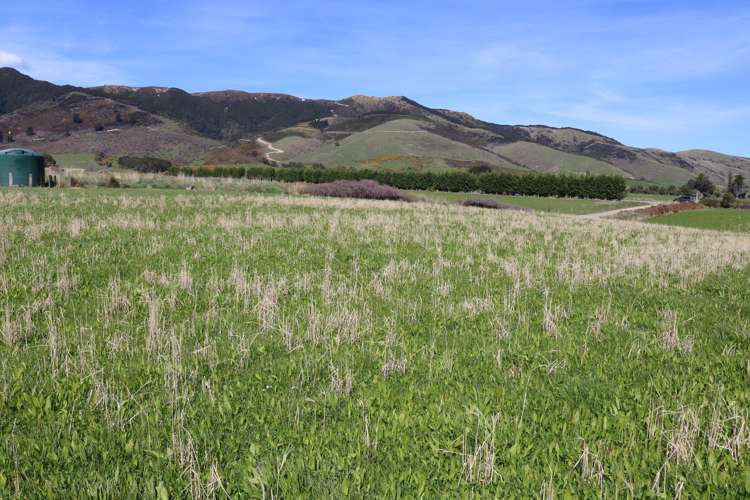 47 Dalvey Road Tapanui_9