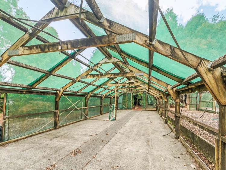 412 Kerikeri Road Kerikeri_20