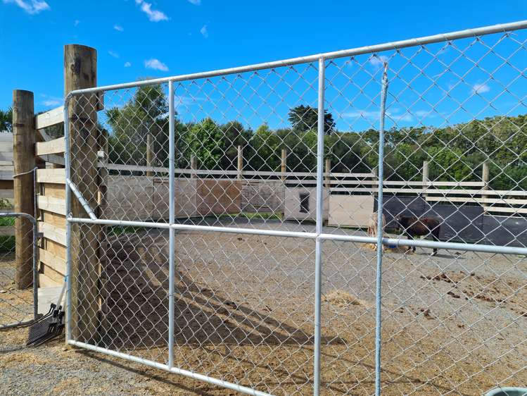 433 Mangapai Road Mangapai and Surrounds_8