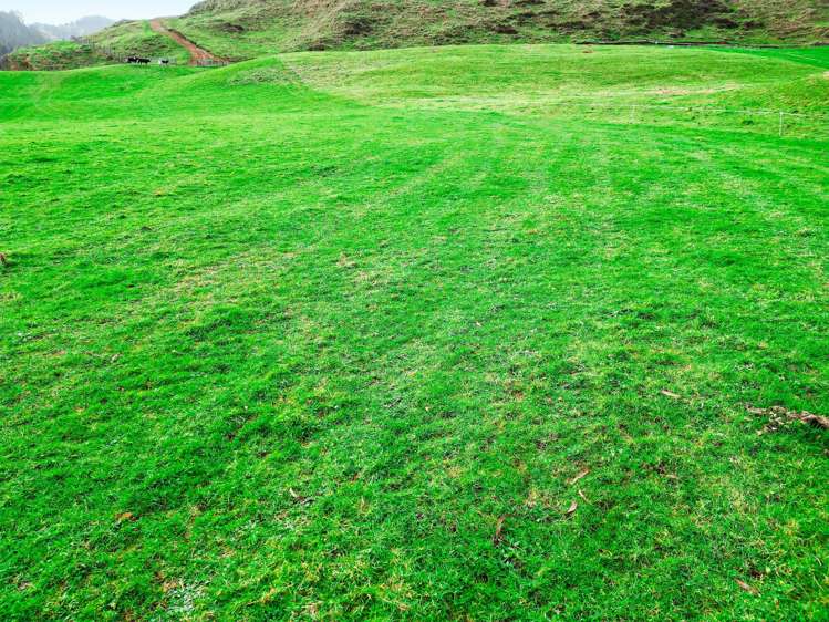 3789 State Highway 4 Ongarue_19