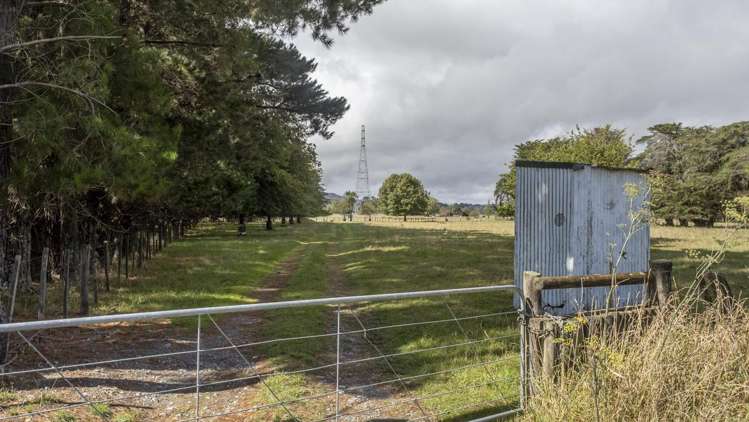 Cross Line Greytown_7
