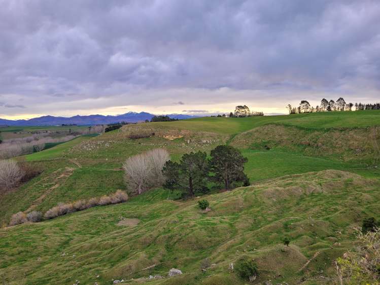 246 Tokarahi-Ngapara Road Five Forks and Surrounds_10