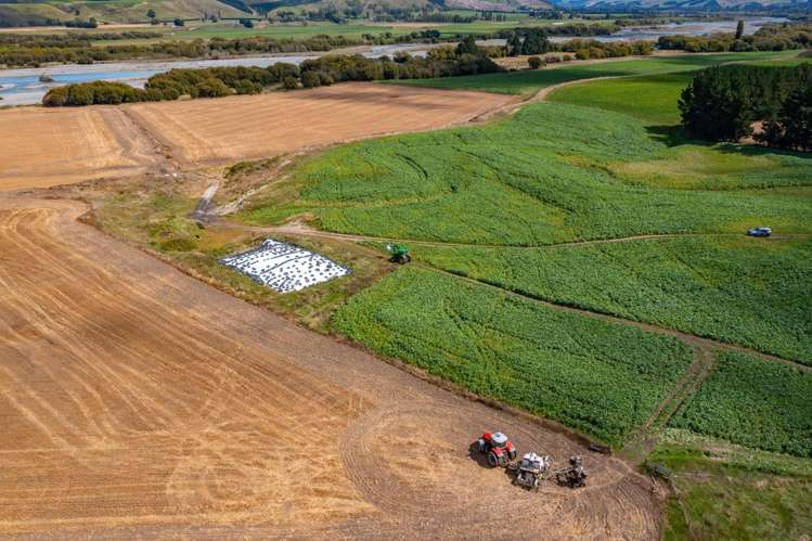 359 Hurunui Mouth Road Domett_48