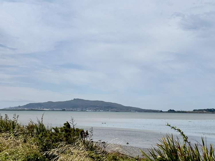 19 Chalmers Road Greenhills_14