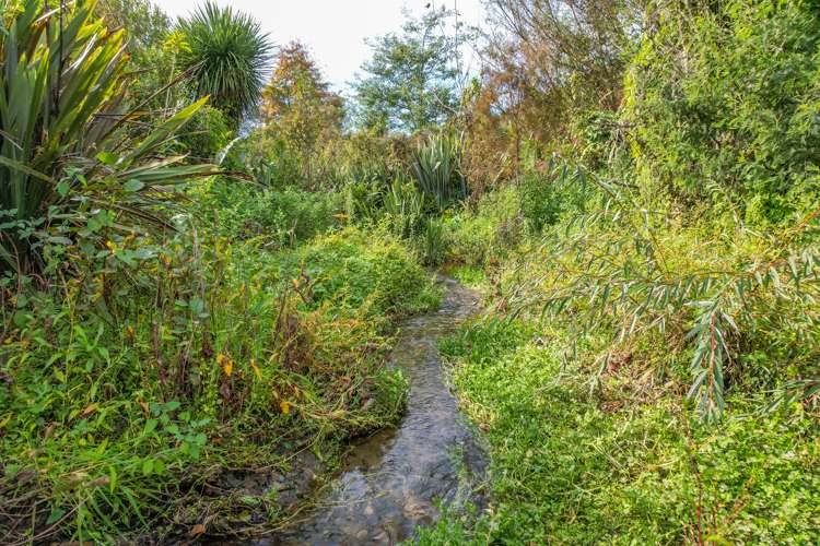 1370 Motueka Valley Highway Ngatimoti_14