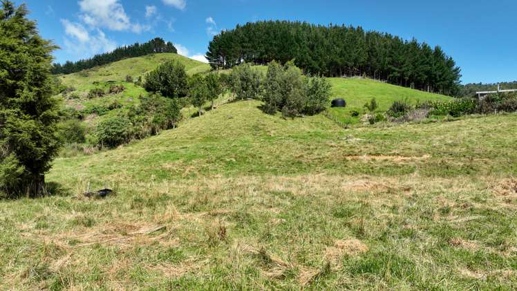 44 Packtrack Road Thames_24