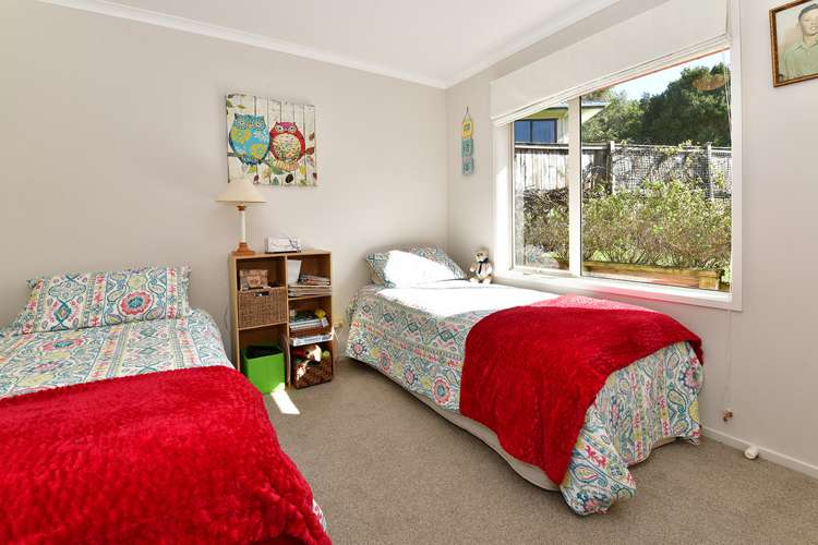 9 Robinia Place Snells Beach_19