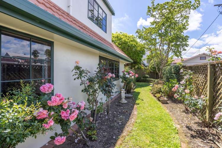 101B Clarence Street Hamilton Lake_5