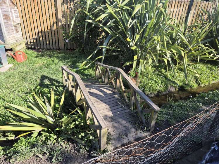 33 Daniell Street Bulls_25