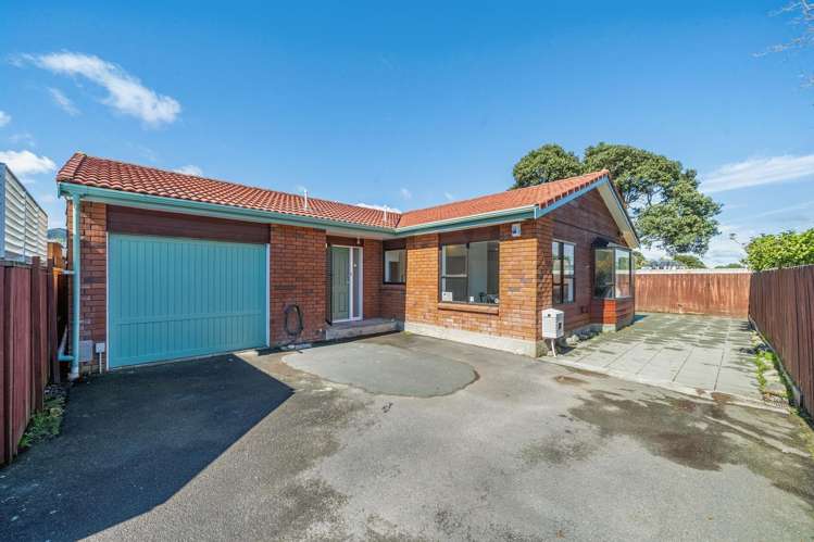 14A Bracken Street Petone_0