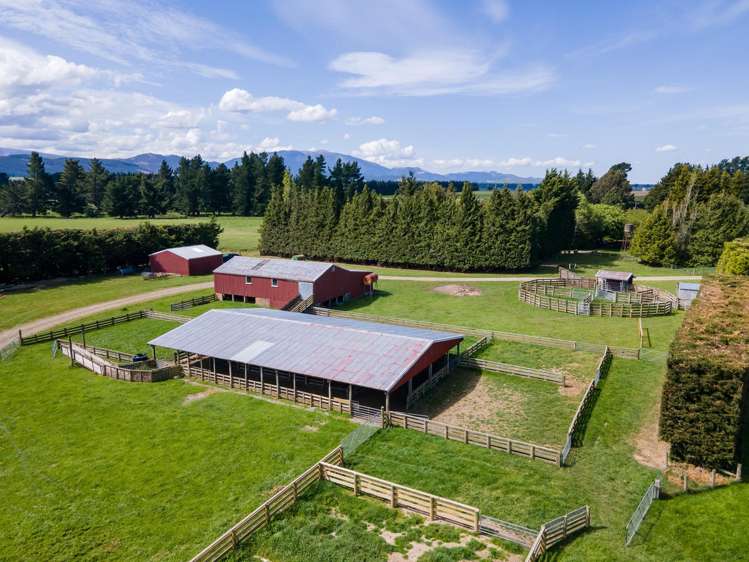 Kowai Road Springfield_10