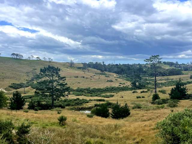 579 Duck Creek Road Stillwater_3