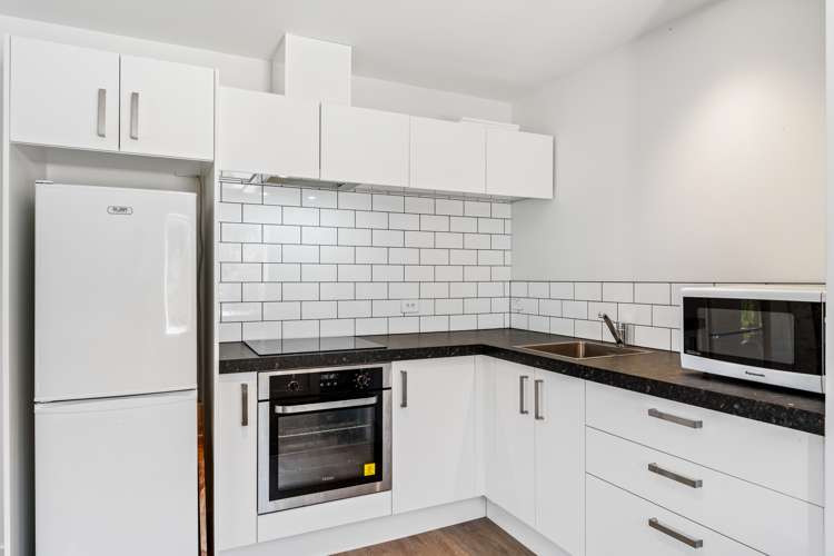 222 Fairview Drive Birchville_13