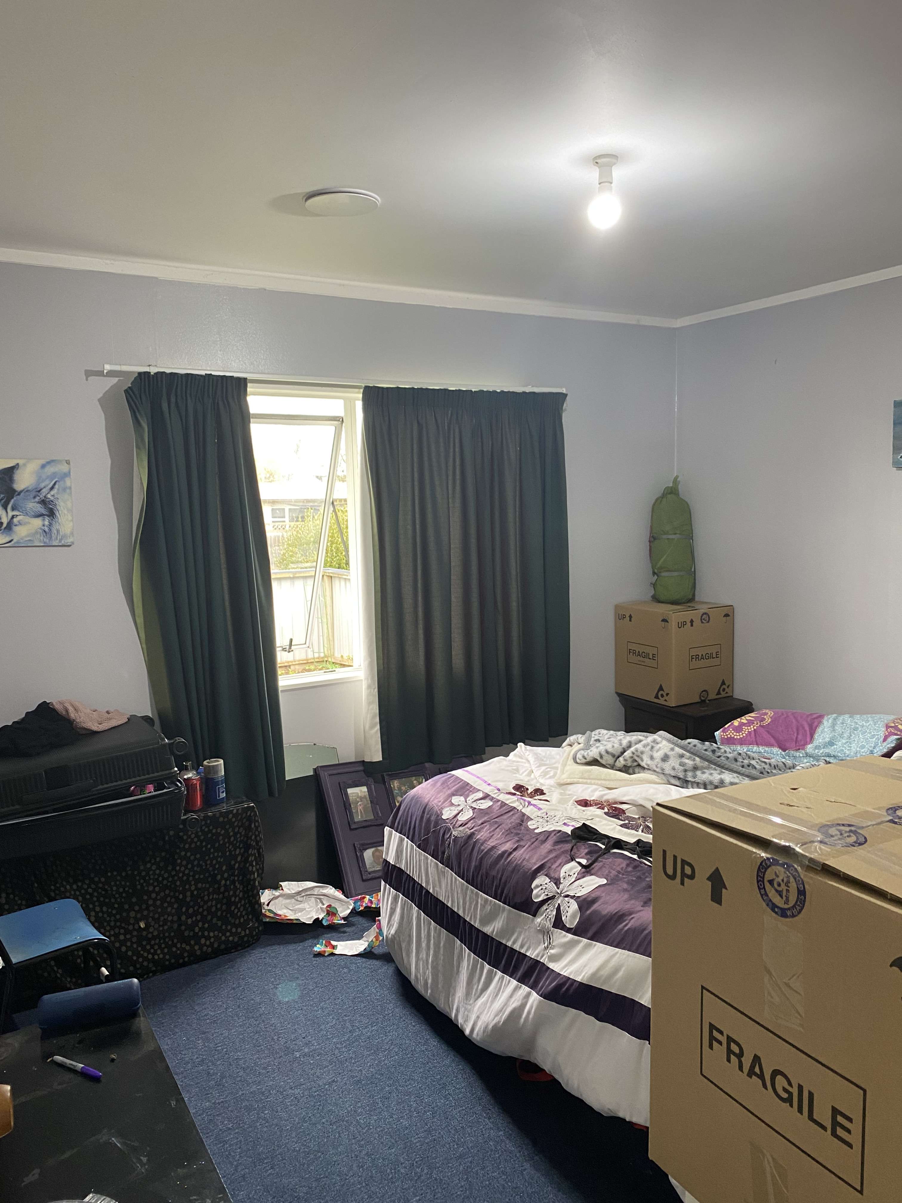 44 Page Street Morrinsville MatamataPiako Houses for Rent One Roof