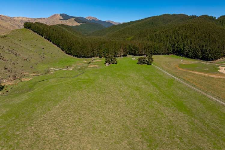 3487 State Highway 63 Wairau Valley_32