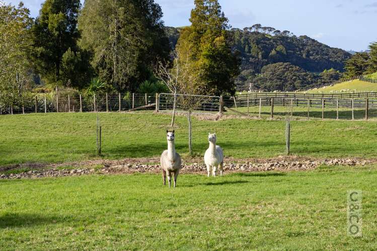 93 Alf Access Road Helensville_8