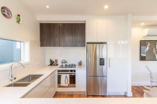  47 Richmond Street Petone_2