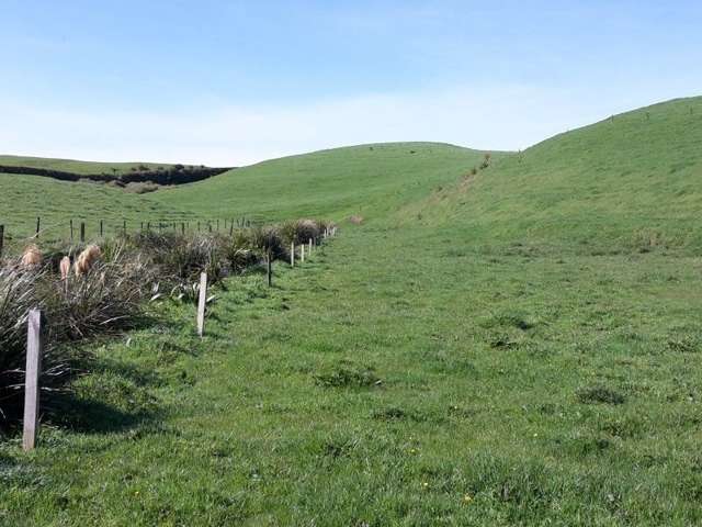 346 Rugby Road Tariki_1