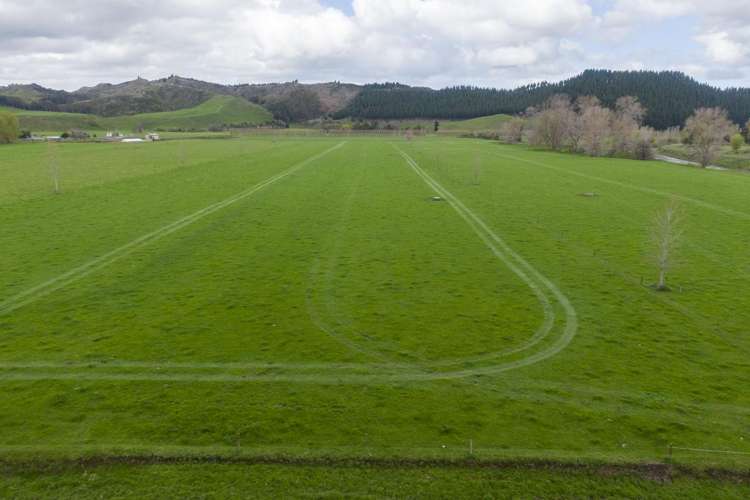 354 Kumuiti Road Fordell_12