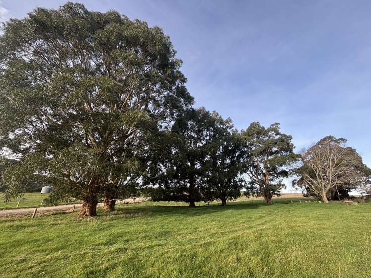 932 Fortification Road Enfield and Surrounds_19