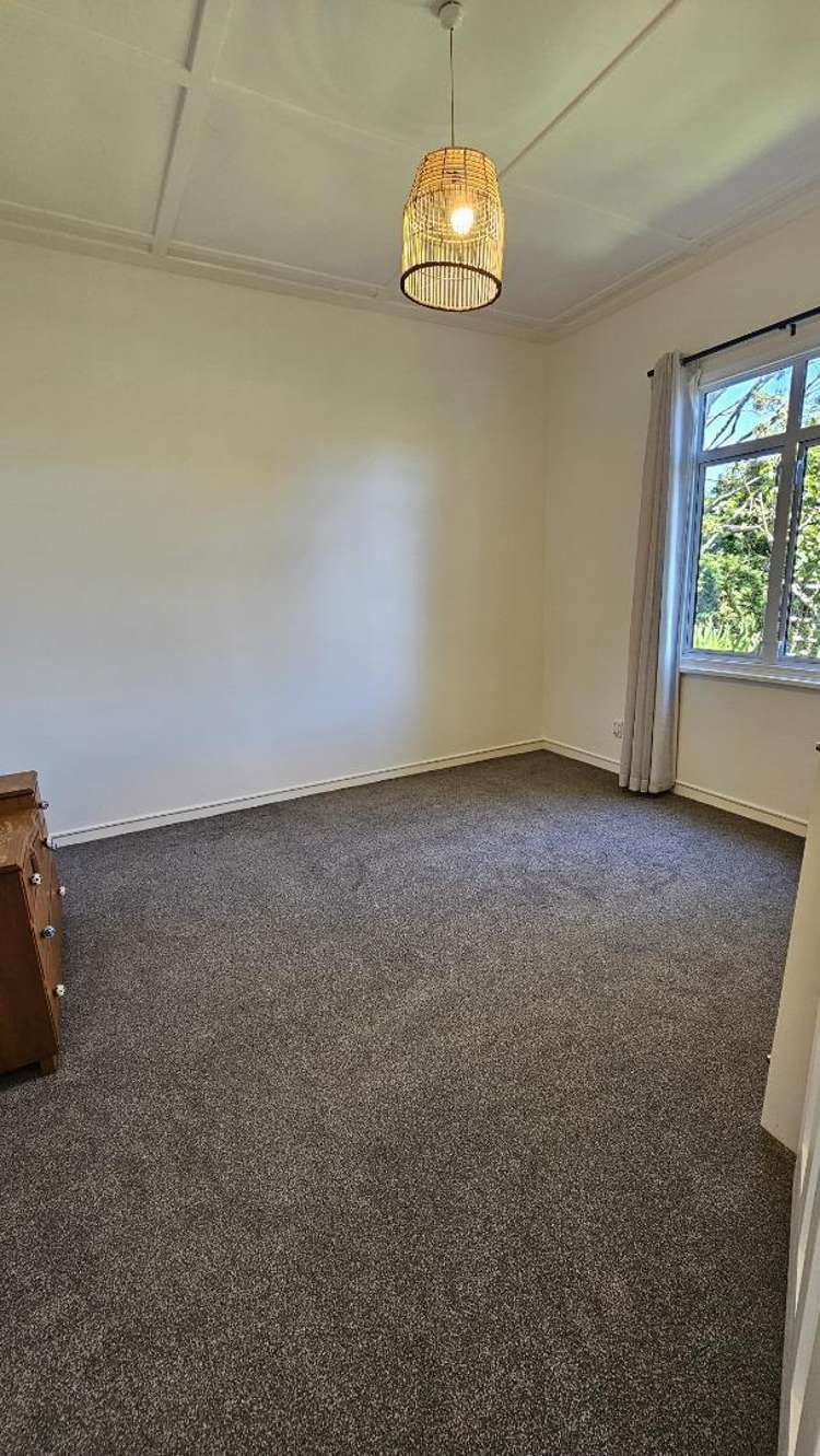 257 Carrington Street Vogeltown_8