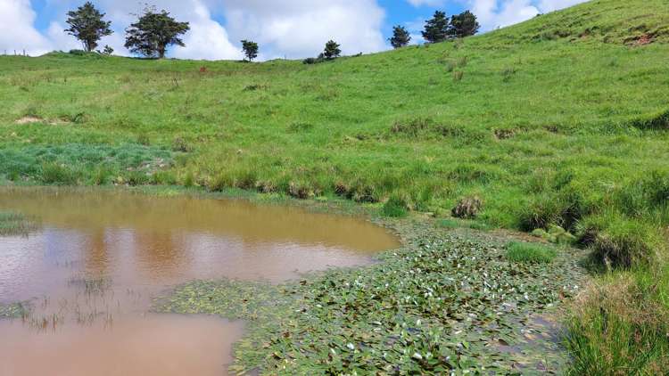 Lot/2 Wearmouth Road Paparoa_10