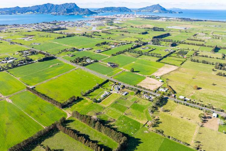 712 One Tree Point Road One Tree Point_28