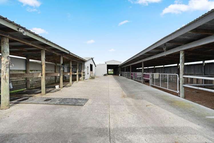59 Racecourse Road 11373_21
