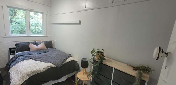 6 Semeloff Terrace Aro Valley_14