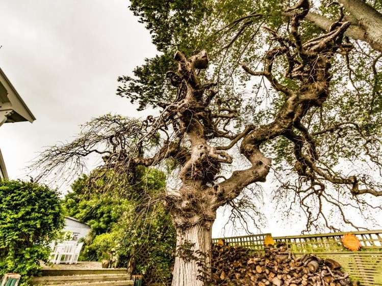 482 Masterton Castlepoint Road Masterton_5