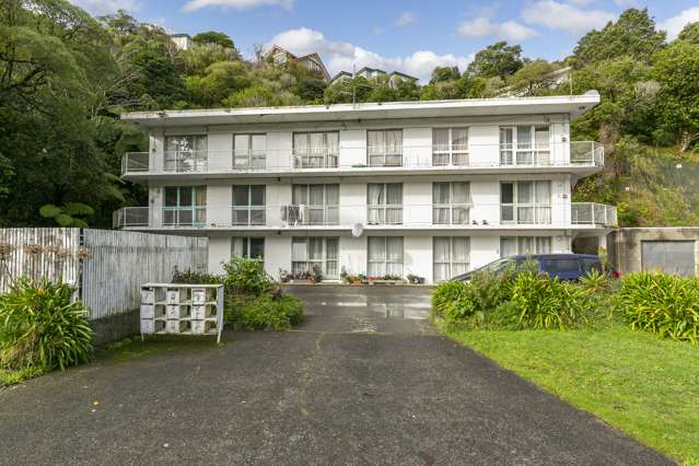 2,3,5,6,8/29 Waiapu Road Kelburn_1