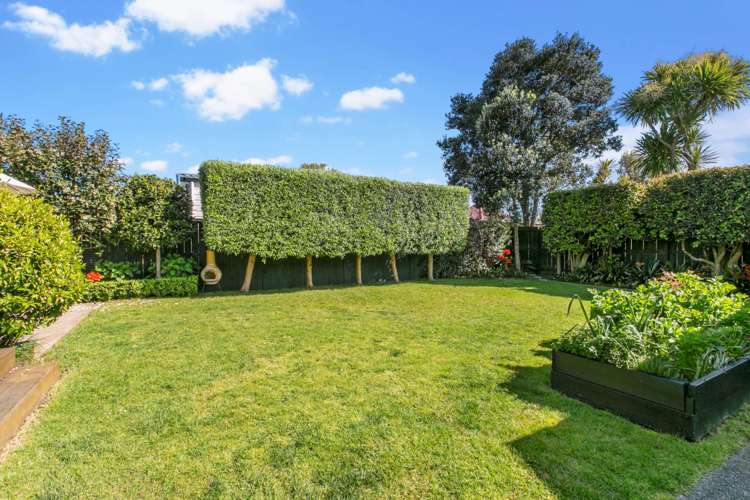 8 Harwood Street Sandringham_21