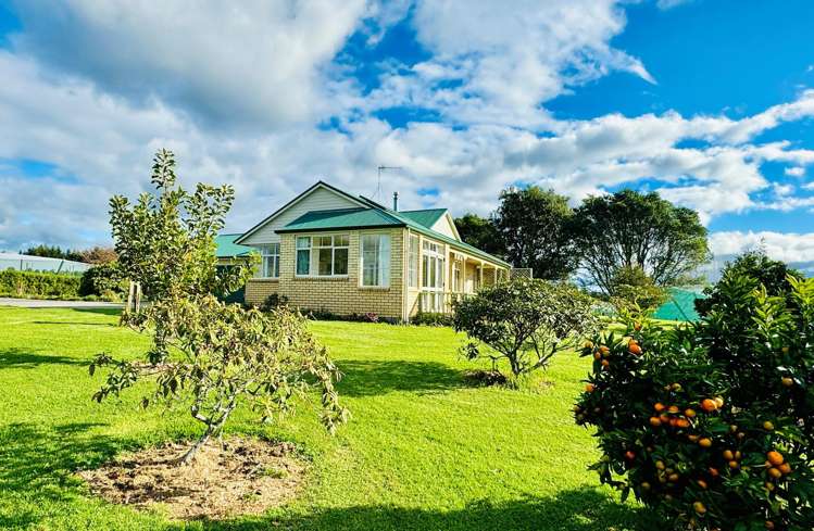 503 Allport Road Paengaroa_14