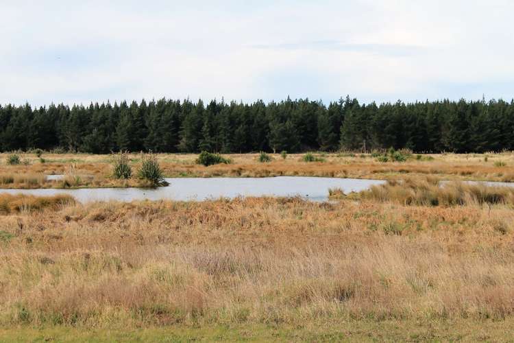 62 Te Kohanga Drive Pegasus_1