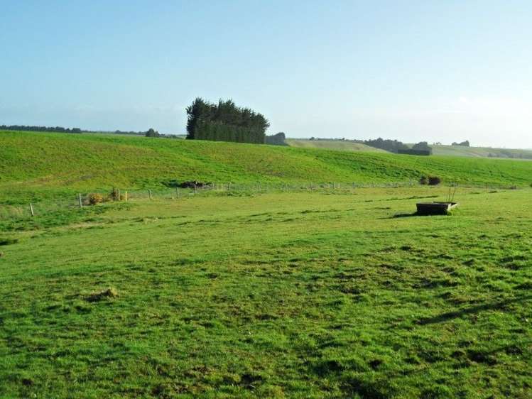 801 Hillfoot Road Clinton and Surrounds_9