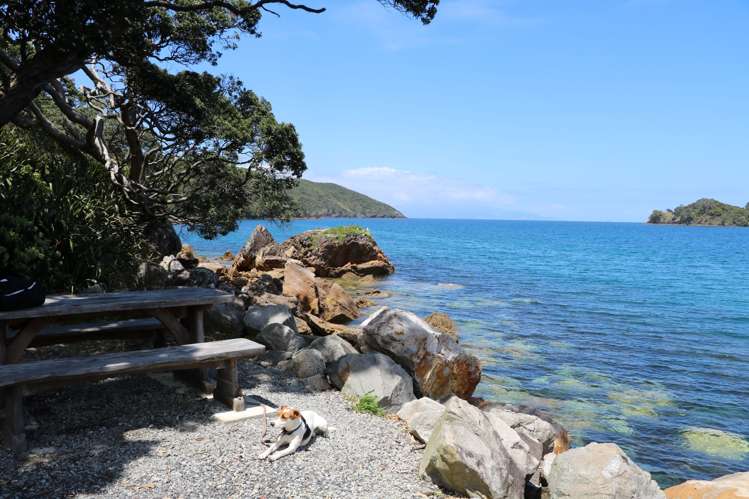 689 Whangaparapara Road Great Barrier Island (Aotea Island)_18