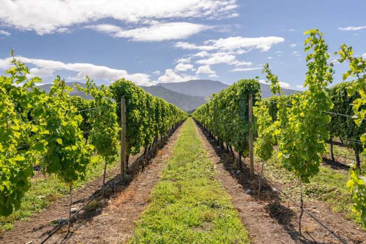 101 Flaxmill Drive Rarangi_22