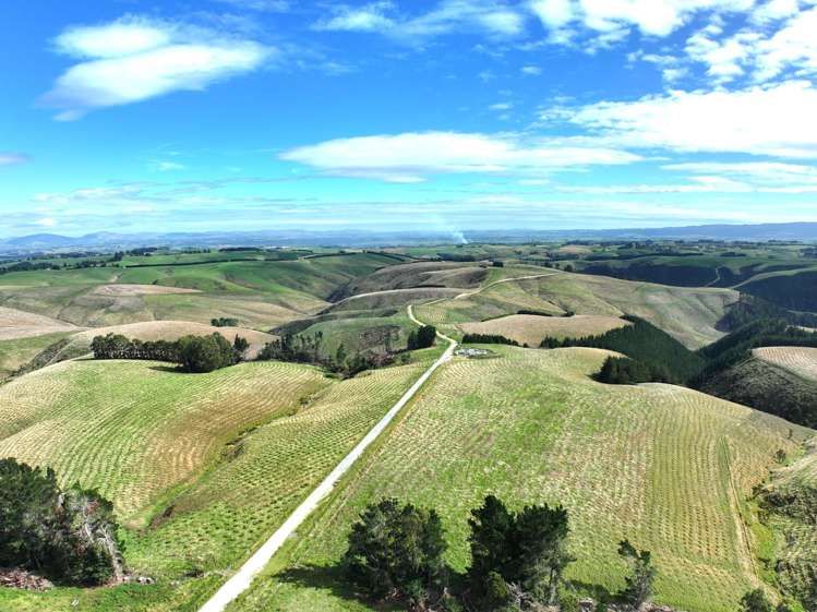 174 McCulloch Road Awamangu_29