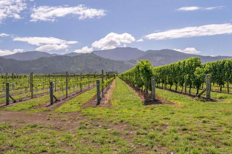 101 Flaxmill Drive Rarangi_28