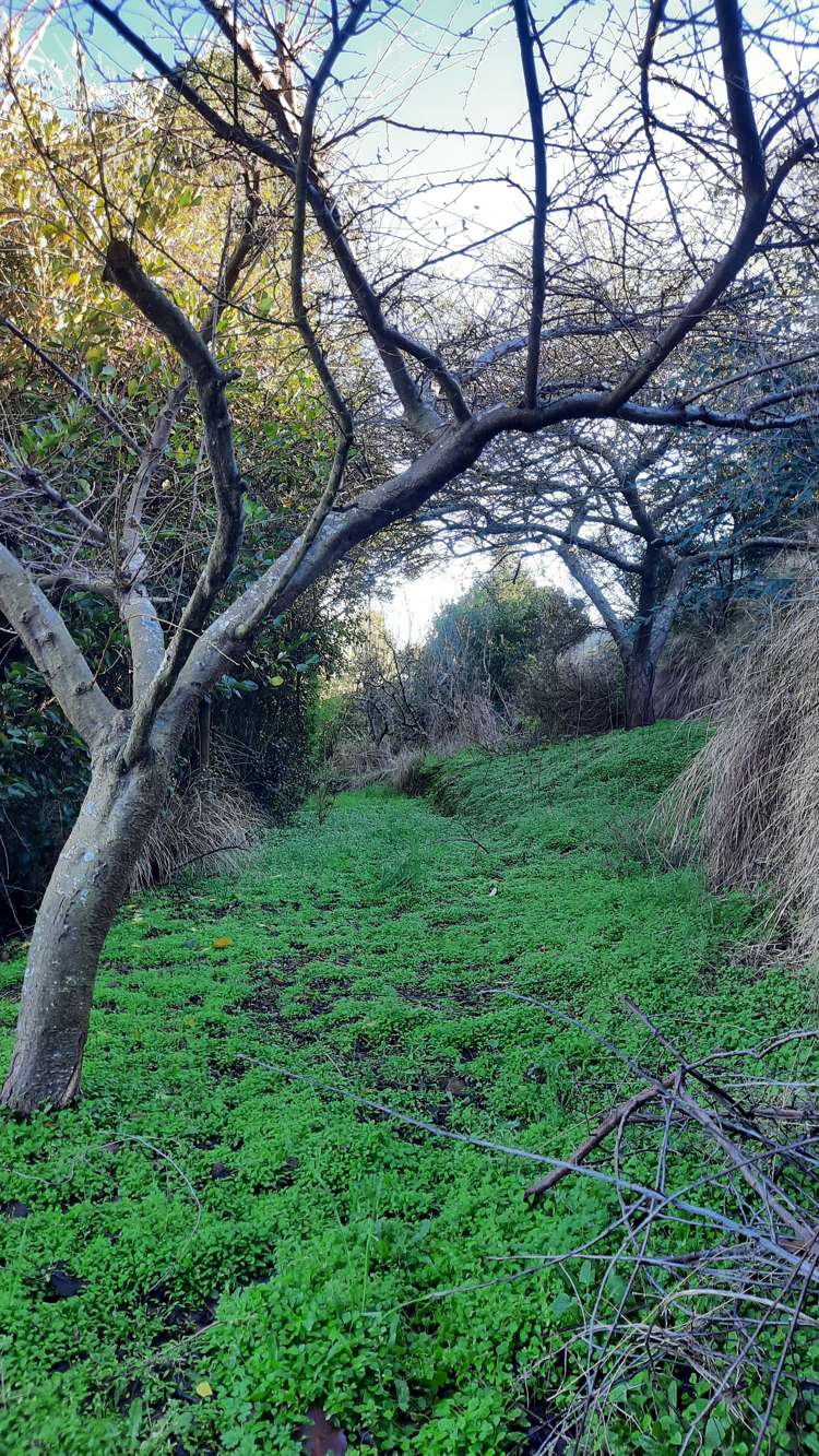 5 Ipswich Street Balclutha_32