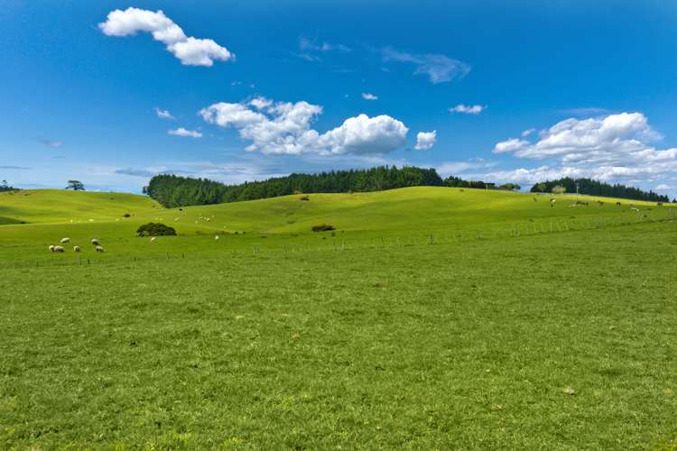 905 Old North Road Waimauku_15