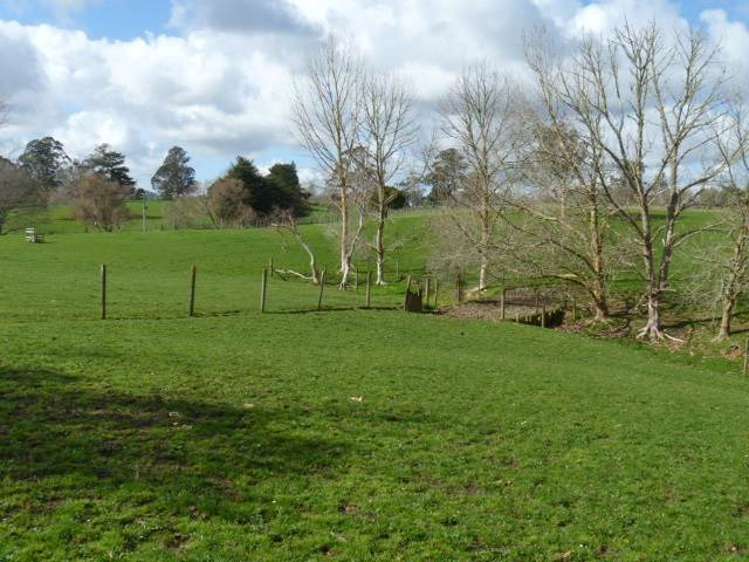 883 Runciman Road Drury_5