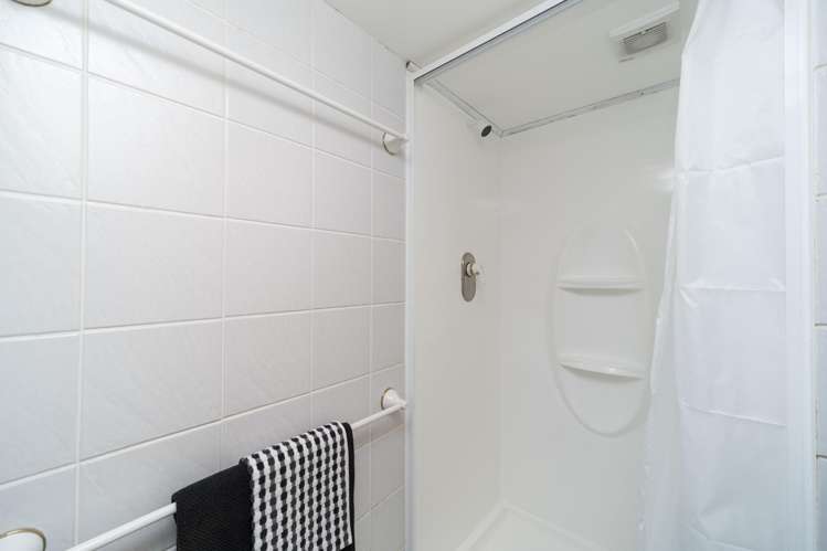 19 Buick Crescent Awapuni_18