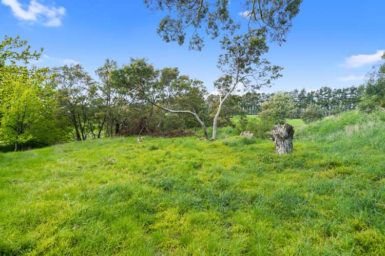 Wards Line Greytown_1