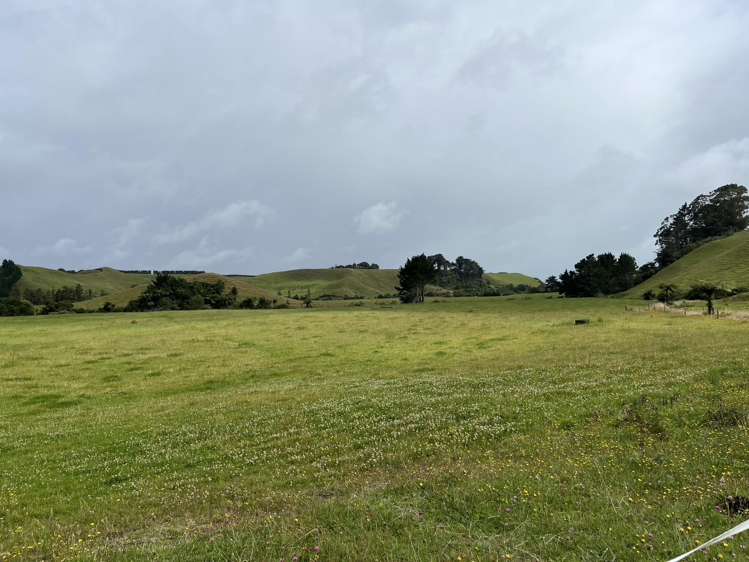 860 Egmont Road Hillsborough_25